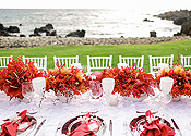 maui  small wedding 