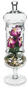 orchid in a jar centerpiece